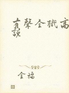 有声全职高手小说