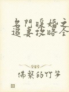 名门暖婚之权爷追妻攻略全文免费阅读