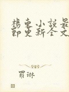 杨东小说最新章节更新全文阅读