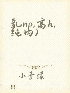 乱np,高h,纯肉)封面