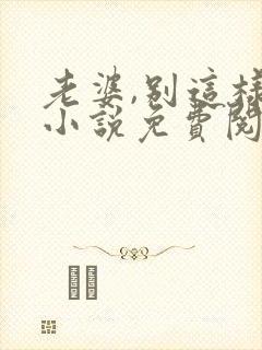 老婆,别这样 小说免费阅读