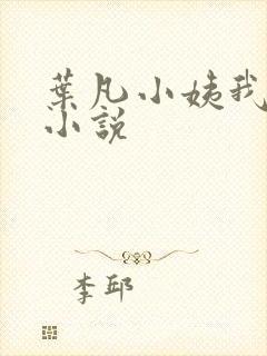 叶凡小姨我要 小说