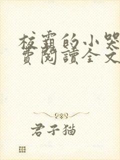 校霸的小哭包免费阅读全文封面