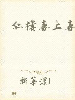 红楼春上春封面