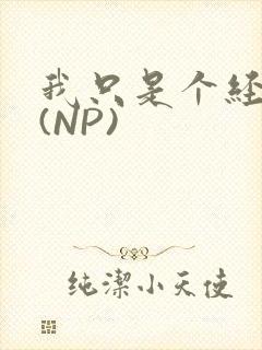 我只是个经纪人(NP)