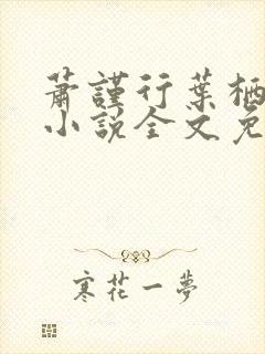 萧谨行叶栖迟的小说全文免费阅读封面