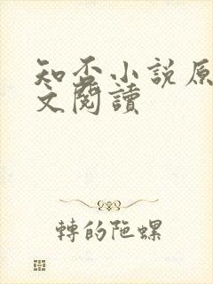 知否小说原著全文阅读封面
