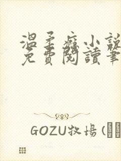温柔瘾小说全文免费阅读笔趣阁