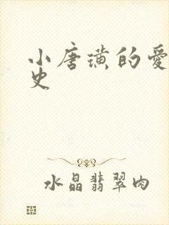 小唐璜的爱情历史