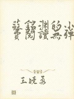苏铭渊的小说免费阅读无弹窗