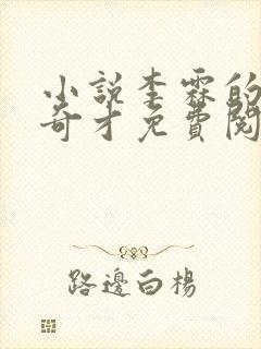 小说李霖的官场奇才免费阅读