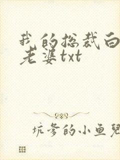 我的总裁白富美老婆txt