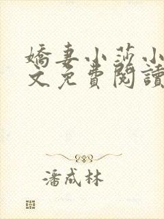 娇妻小莎小说全文免费阅读