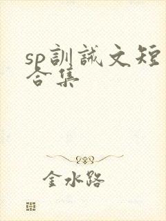 sp训诫文短篇合集