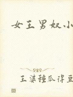 女王男奴小说