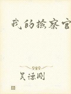 我的检察官先生封面