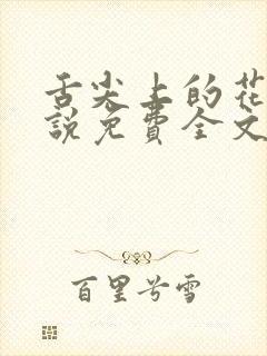 舌尖上的花心小说免费全文阅读封面