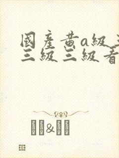 国产黄a级三级三级三级看三级