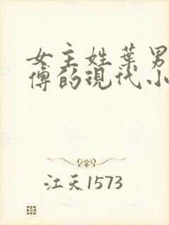 女主姓叶男主姓傅的现代小说封面