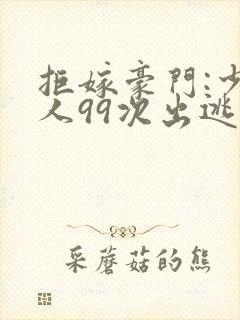拒嫁豪门:少夫人99次出逃txt