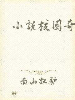 小说校园奇侠