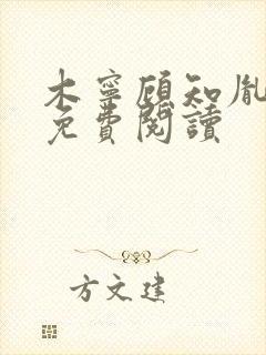 木宁顾知胤小说免费阅读
