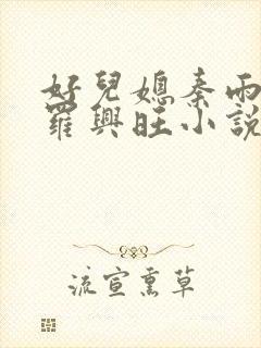 好儿媳秦雨罗明罗兴旺小说