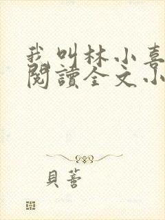 我叫林小喜免费阅读全文小说