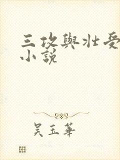 三攻与壮受生子小说封面