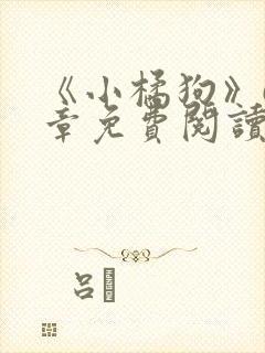 《小橘狗》68章免费阅读下载