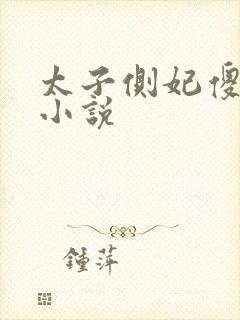 太子侧妃傻乎乎小说