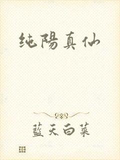 纯阳真仙