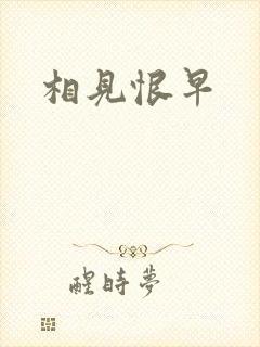 相见恨早