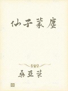 仙子蒙尘封面
