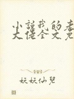 小说我的老公是大佬全文免费阅读