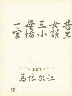 一母三女共一婿官场小说免费阅读