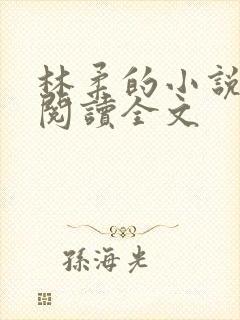 林柔的小说在线阅读全文