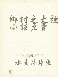 乡村之大被同眠小说免费