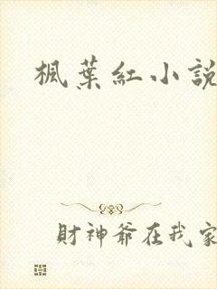 枫叶红小说封面