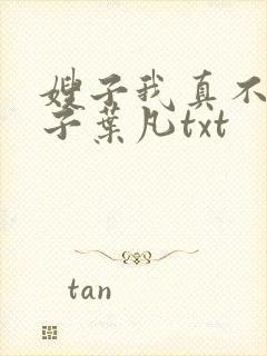 嫂子我真不是傻子叶凡txt