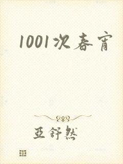 1001次春宵封面