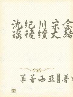 沈纪川宋念阮梦瑶后续大结局封面