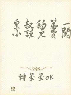 皇叔的第一宠妃小说免费阅读无弹窗封面
