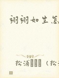 翊翊如生怎么读封面