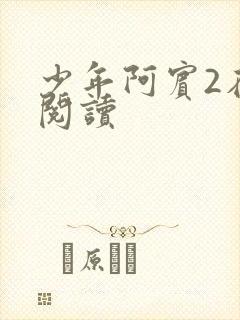 少年阿宾2在线阅读封面