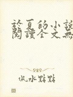 于夏的小说免费阅读全文无弹窗