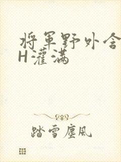 将军野外含公主H灌满封面
