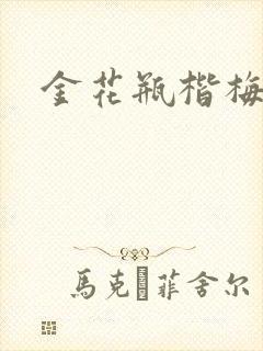 金花瓶楷梅花