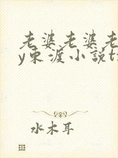 老婆老婆老婆by东渡小说txt