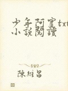 少年阿宾txt小说阅读